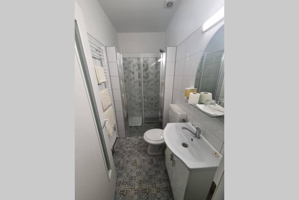 Casa Frizerului - Pets Allowed For Free & Moto Friendly Apartment Sebes  Luaran gambar