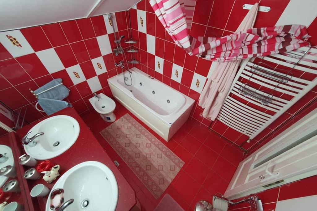 Casa Frizerului - Pets Allowed For Free & Moto Friendly Apartment Sebes  Luaran gambar