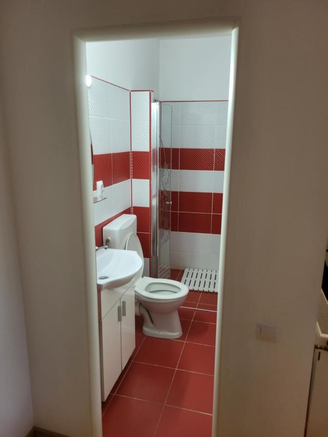 Casa Frizerului - Pets Allowed For Free & Moto Friendly Apartment Sebes  Luaran gambar